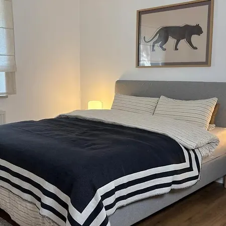 Newly Renovated 4-room Near Ingolstadt *